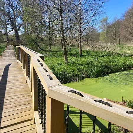 Lodge Radison With A Garden - Z Ogrodkiem Radison Mielno (Koszalin)